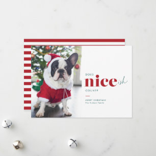 Tarjeta Festiva Cartas de Navidades de perros divertidos