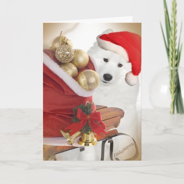 Tarjeta Festiva Cartas de reparto de amigos Samoyed (Anverso)