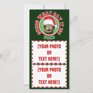 Tarjeta Festiva Cartas fotográficas del camello del Día del navida