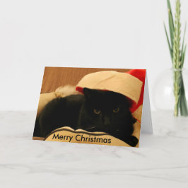 Tarjeta Festiva Carte de voeux Sam by Chat' ventures