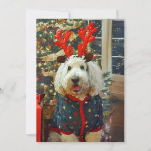 Tarjeta Festiva Casa de Goldendoodle para las vacaciones