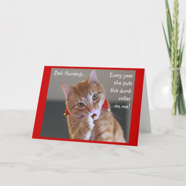 Tarjeta Festiva Cascabeles que llevan anaranjados del gato de (Anverso)