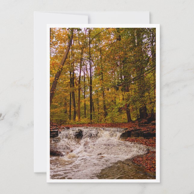 Tarjeta Festiva Cascada de otoño (Anverso)