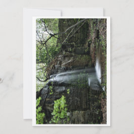 Tarjeta Festiva Cascada de primavera oculta