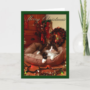 Tarjeta Festiva Case el navidad, navidad, gato