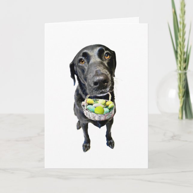 Tarjeta Festiva Caso perdido (Anverso)