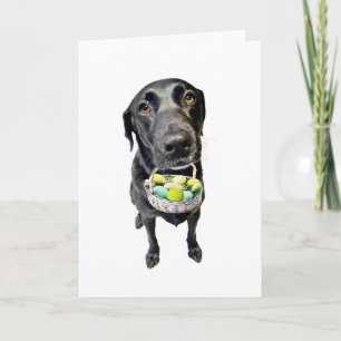 Tarjeta Festiva Caso perdido