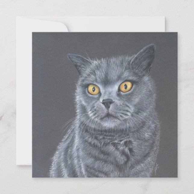Tarjeta Festiva Cat Greeting card.  (Anverso)