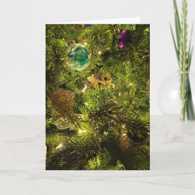 Tarjeta Festiva Cat In The Christmas Tree Christmas Card (Anverso)