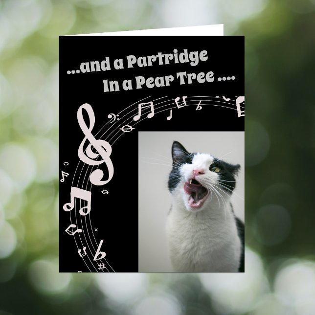 Tarjeta Festiva Cat SINGING Humor Song 2 Christmas Card (Subido por el creador)