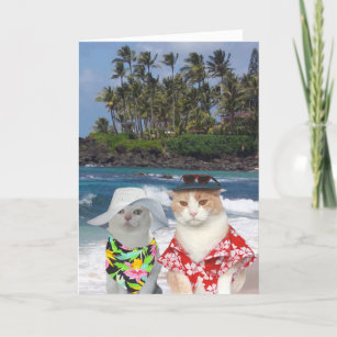 Tarjeta Festiva Cats divertidos San Valentín hawaiano