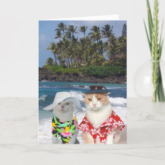 Tarjeta Festiva Cats divertidos San Valentín hawaiano