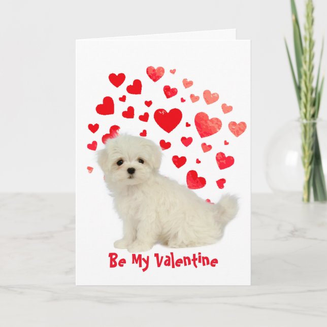 Tarjeta Festiva Cause I Woof Love You Maltese Dog Valentine (Anverso)