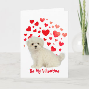 Tarjeta Festiva Cause I Woof Love You Maltese Dog Valentine