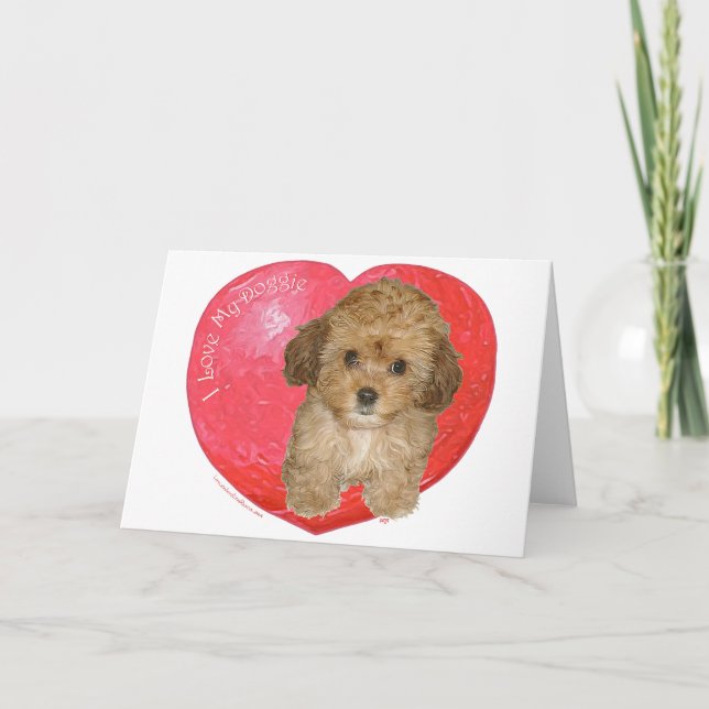 Tarjeta Festiva Cavachon San Valentín (Anverso)