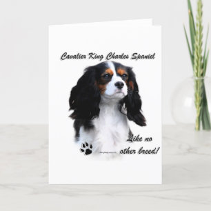 Tarjeta Festiva Cavalier como ninguna otra raza