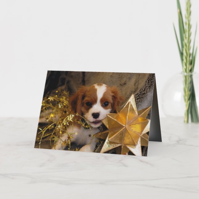Tarjeta Festiva Cavalier King Charles Holiday Star (Anverso)