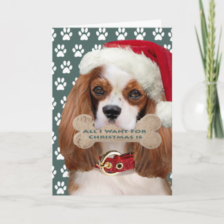 Tarjeta Festiva Cavalier King Charles Kisses Para Navidades