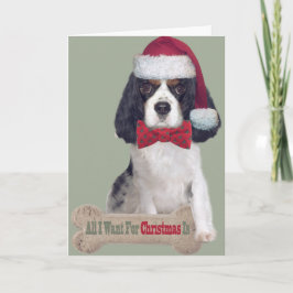Tarjeta Festiva Cavalier King Charles Kisses Para Navidades