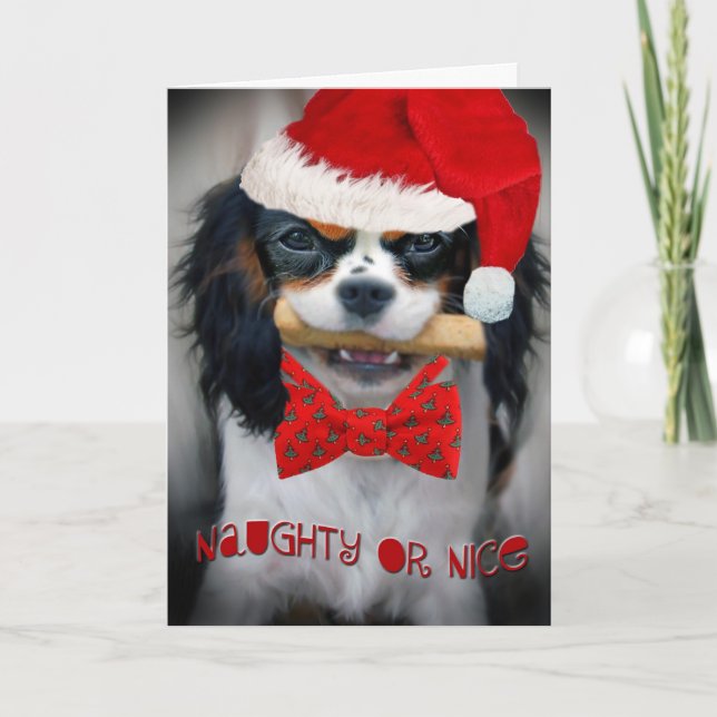 Tarjeta Festiva Cavalier King Charles Naughty o los Navidades boni (Anverso)