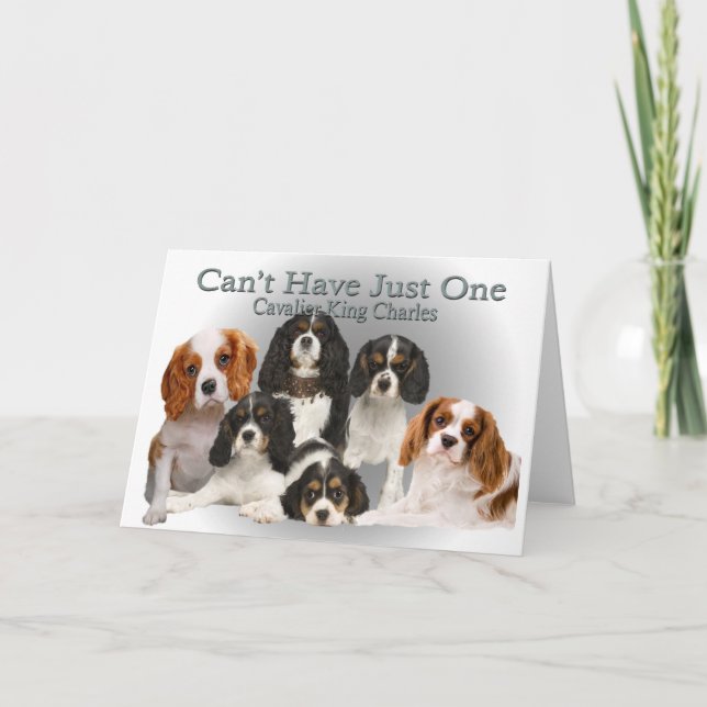 Tarjeta Festiva Cavalier King Charles no puede tener un solo regal (Anverso)