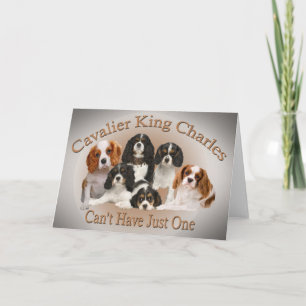 Tarjeta Festiva Cavalier King Charles no puede tener un solo regal