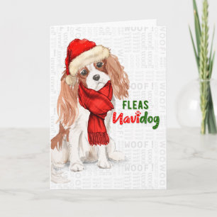 Tarjeta Festiva Cavalier King Charles Spaniel Fleas NaviDOG