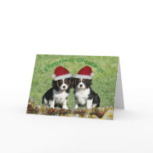 Cavaliers In Santa Hats