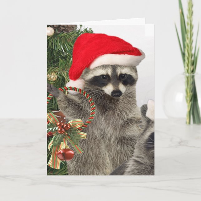 Tarjeta Festiva Celebración de los Navidades Raccoon (Anverso)