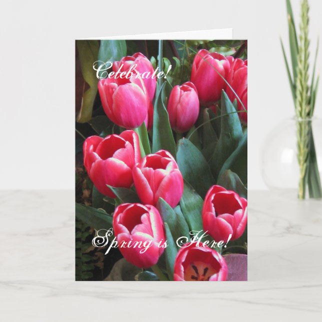 Tarjeta Festiva ¡Celebre! ¡, La primavera está aquí! (Anverso)