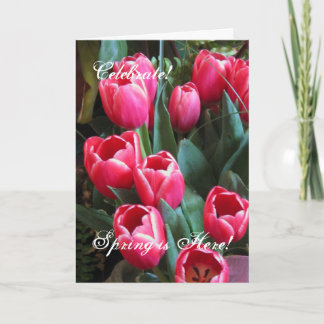 Tarjeta Festiva ¡Celebre! ¡, La primavera está aquí!