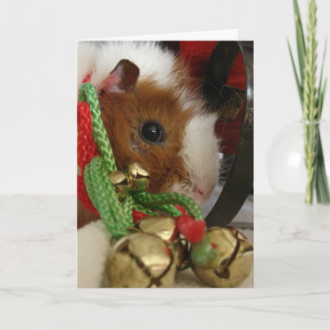 Tarjeta Festiva Cerdo de Guinea con campanas de jingle (Anverso)