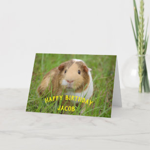Tarjeta Festiva Cerdo de Guinea Cute Nombre Personalizado Cumpleañ
