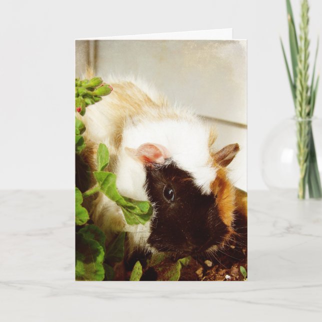 Tarjeta Festiva Cerdo de Guinea, Pascua (Anverso)