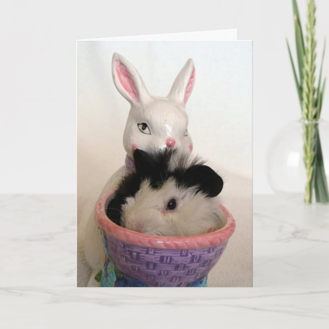 Tarjeta Festiva Cerdo guineano en una plantadora de conejitos por  (Anverso)