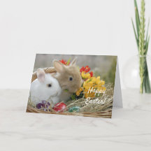 Cesta de Conejos Cubiertos Pascua