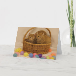 Tarjeta Festiva Cesta del gatito