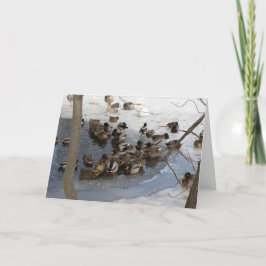 Tarjeta Festiva Charca congelada con los patos
