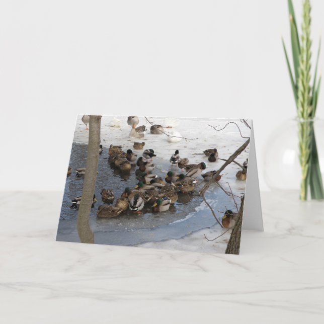 Tarjeta Festiva Charca congelada con los patos (Anverso)