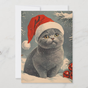 Tarjeta Festiva Chartreux Cat Navidades