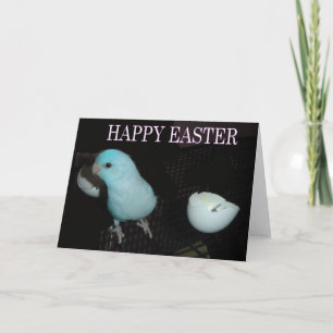 Tarjeta Festiva Chica de Pascua