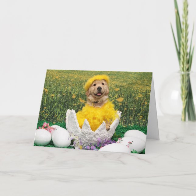 Tarjeta Festiva Chick del Golden Retriever en la cruda Pascua de H (Anverso)