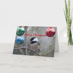 Tarjeta Festiva Chickadee