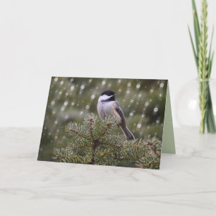 Tarjeta Festiva Chickadee Bird in Snow Fall Pine Tree Snowflakes