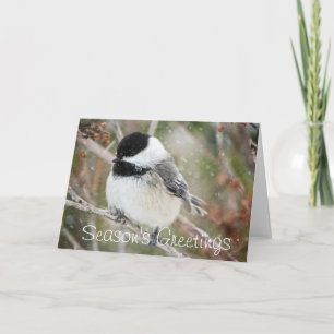 Tarjeta Festiva Chickadee Nevado de los saludos de la estación