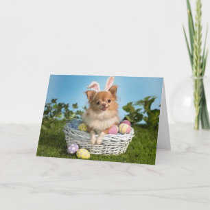 Tarjeta Festiva Chihuahua de Pascua