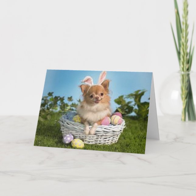 Tarjeta Festiva Chihuahua de Pascua (Anverso)