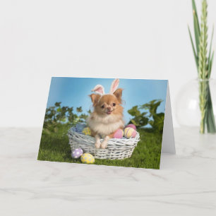 Tarjeta Festiva Chihuahua Easter Bunny Card