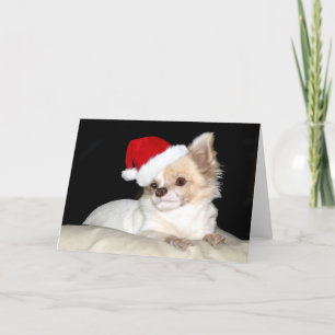 Tarjeta Festiva Chihuahua en un Sombrero Santa