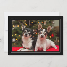 Tarjeta Festiva Chihuahua Holiday Greeting Card